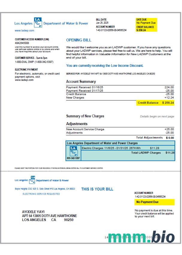 Szablon rachunku za media USA LA DWP w formatach Word i PDF, Wersja 2